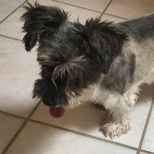 Meet your Posher, Luis